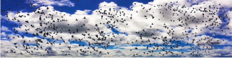 【転職支援サービス【IT求人ナビ】情報サイト